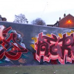 aeroarts animalgraff animalgraff graffiti mural artist