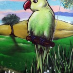 aeroarts animalgraff graffiti mural artist