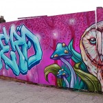 AeroArts graffiti mural artist