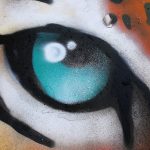 tiger graffiti car